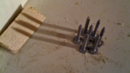 IMG_1364 IMG_1364