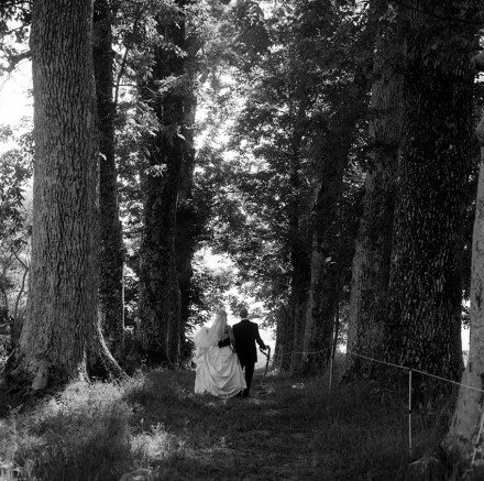 Into the woods. Teke av Sjurd Skutlaberg.